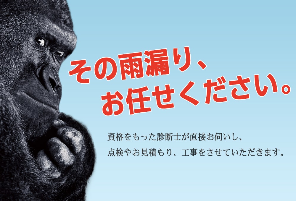 その雨漏り、お任せ下さい。資格をもった診断士が直接お伺いし、点検やお見積もり、工事をさせていただきます。